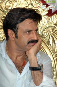 Balakrishna Birthday 2007 Celebrations @ Rajahmundry