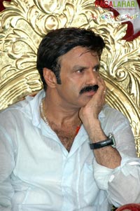 Balakrishna Birthday 2007 Celebrations @ Rajahmundry