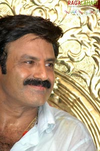 Balakrishna Birthday 2007 Celebrations @ Rajahmundry