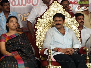 Balakrishna Birthday 2007 Celebrations @ Rajahmundry