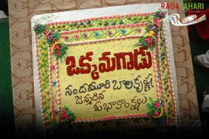 Balakrishna Birthday 2007 Celebrations @ Rajahmundry