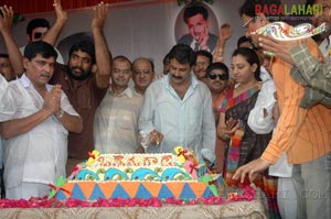 Balakrishna Birthday 2007 Celebrations @ Rajahmundry