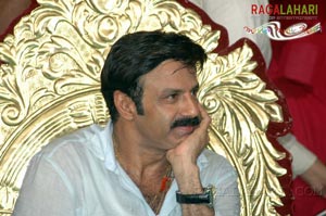 Balakrishna Birthday 2007 Celebrations @ Rajahmundry