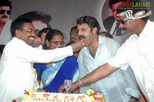 Balakrishna Birthday 2007 Celebrations @ Rajahmundry