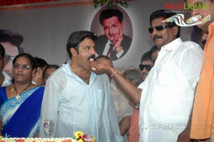 Balakrishna Birthday 2007 Celebrations @ Rajahmundry