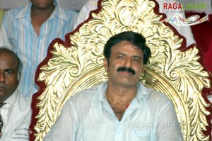 Balakrishna Birthday 2007 Celebrations @ Rajahmundry