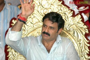 Balakrishna Birthday 2007 Celebrations @ Rajahmundry