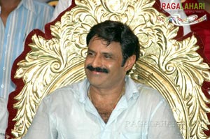 Balakrishna Birthday 2007 Celebrations @ Rajahmundry