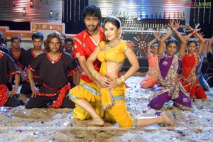 Allari Naresh, Krishna Bhagwan, Farzana