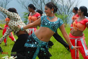 Rajendra Prasad, Kiran Rathod, Rishi, Farzana