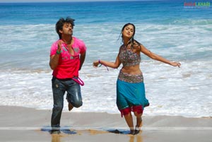 Tarun, Ileana, Jagapathi Babu