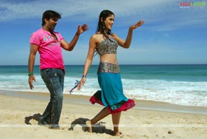 Tarun, Ileana, Jagapathi Babu