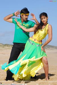 Tarun, Ileana, Jagapathi Babu