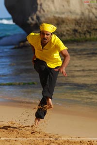 Tarun, Ileana, Jagapathi Babu