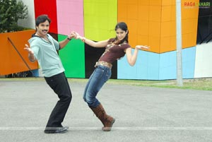 Tarun, Ileana, Jagapathi Babu