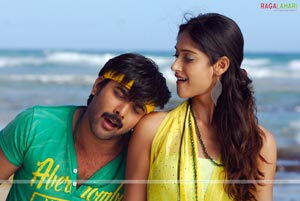 Tarun, Ileana, Jagapathi Babu