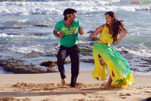 Tarun, Ileana, Jagapathi Babu