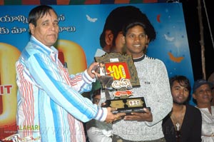 Brahma 100days Function