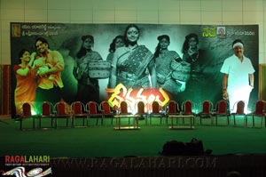 Devathalu Audio Release