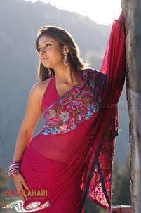 Raviteja, Nayanatara