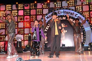 FNCC Telugu cinema awards 2007