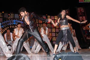 FNCC Telugu cinema awards 2007