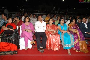 FNCC Telugu cinema awards 2007