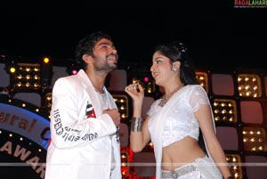 FNCC Telugu cinema awards 2007