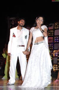 FNCC Telugu cinema awards 2007