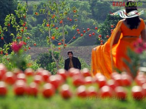 Gopika From Veedu Maamulodu Kaadu