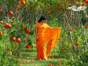 Gopika From Veedu Maamulodu Kaadu