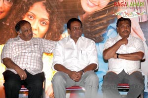 Happy Days Success Meet