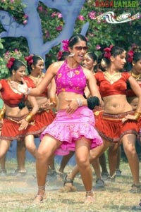 Ileana in Rakhi telugu movie, Ileana rakhi