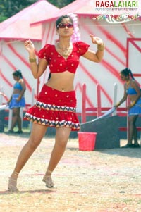 Ileana in Rakhi telugu movie, Ileana rakhi