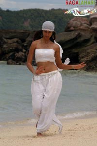 Ileana in Rakhi telugu movie, Ileana rakhi