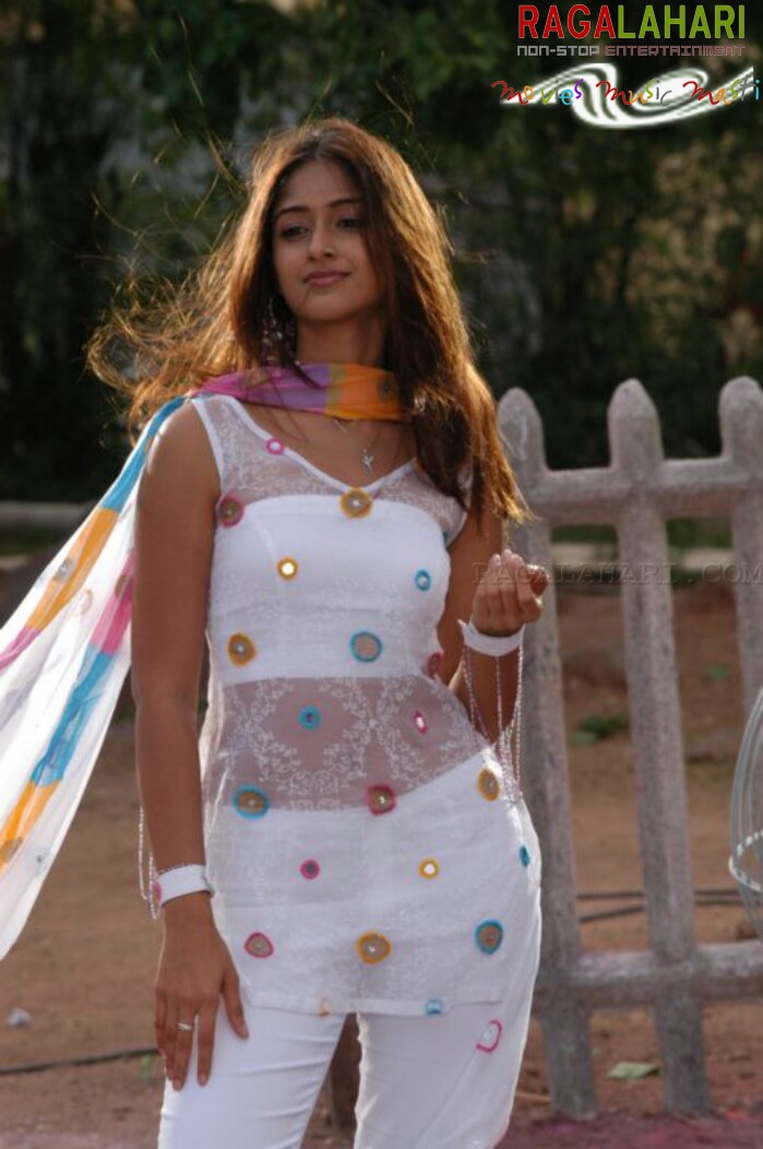 Ileana Rakhi Photo Gallery