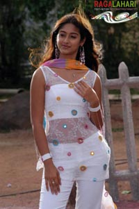 Ileana in Rakhi telugu movie, Ileana rakhi