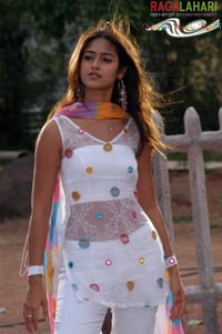 Ileana in Rakhi telugu movie, Ileana rakhi