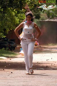 Ileana in Rakhi telugu movie, Ileana rakhi