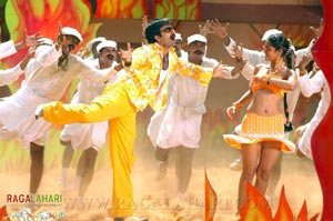 Raviteja, Ileana