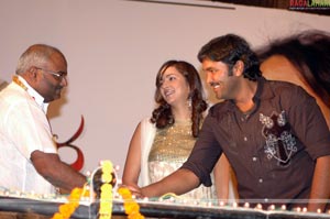 Krishnarjuna Audio Release