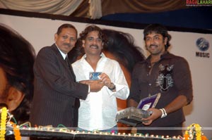 Krishnarjuna Audio Release