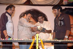 Krishnarjuna Audio Release