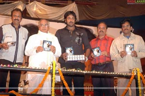 Krishnarjuna Audio Release