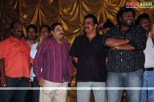 Krishna Triple Platinum Disc Function