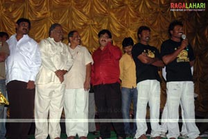 Krishna Triple Platinum Disc Function