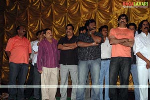 Krishna Triple Platinum Disc Function