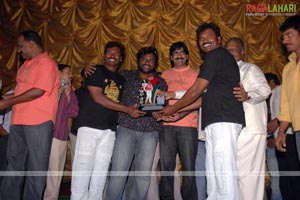 Krishna Triple Platinum Disc Function