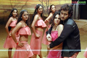 Uday Kiran, Diya