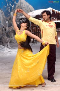 Uday Kiran, Diya